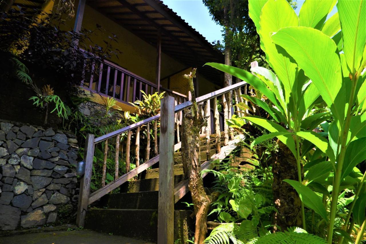 Swar Bali Lodge Munduk Eksteriør bilde