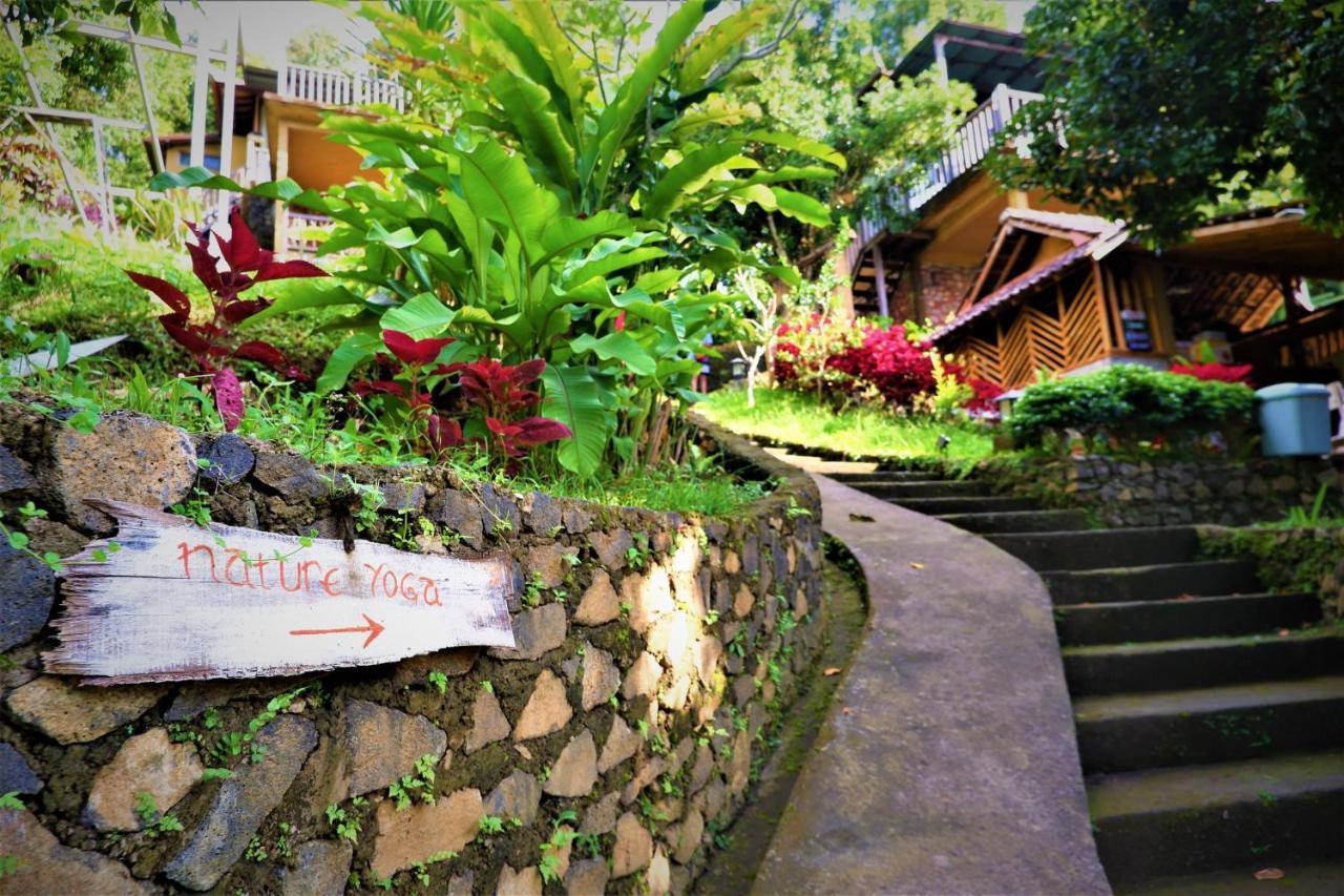 Swar Bali Lodge Munduk Eksteriør bilde